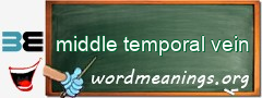 WordMeaning blackboard for middle temporal vein